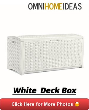 10 WHITE DECK BOX