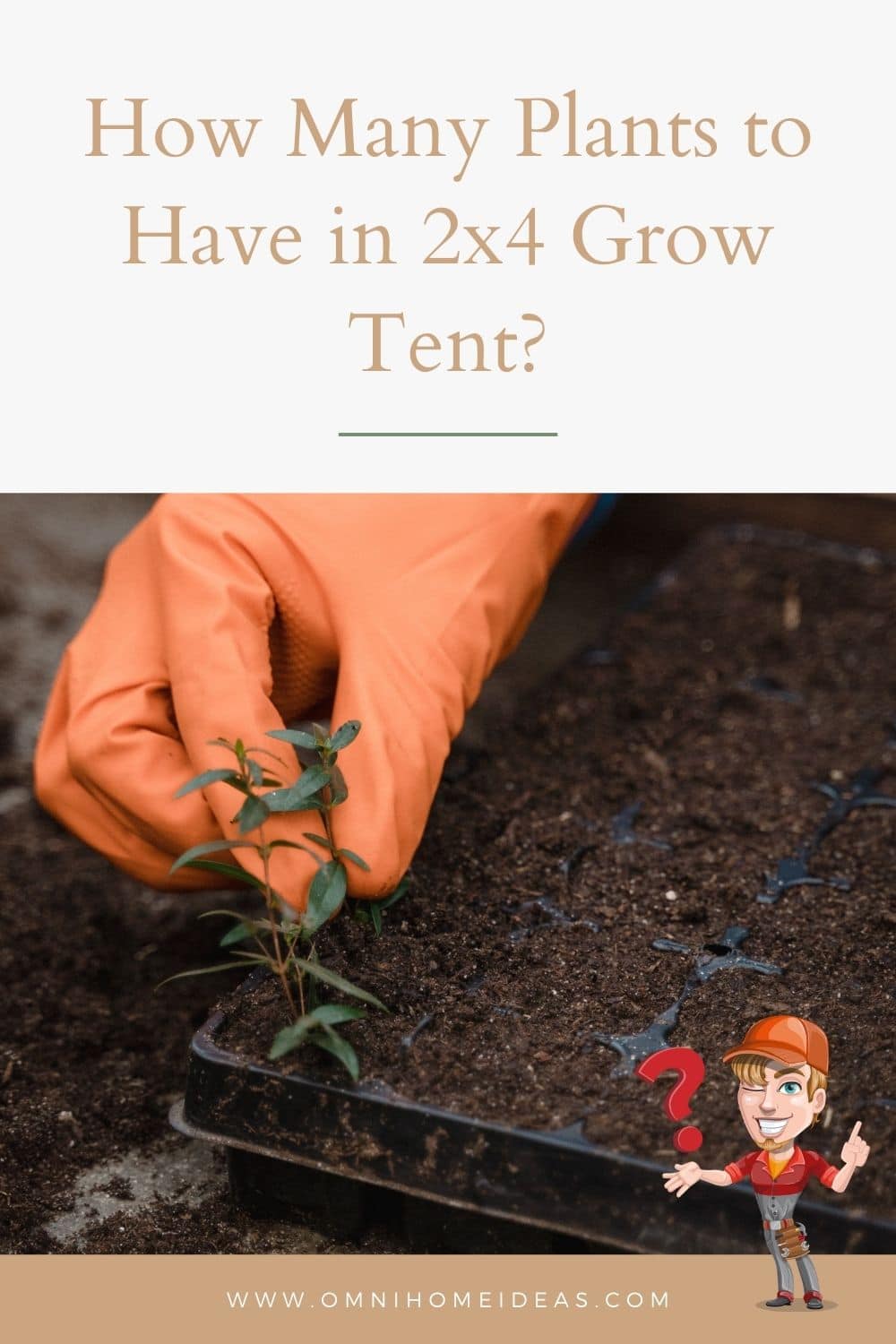 How Many Plants in a 2X4 Grow Tent  : Maximize Your Space
