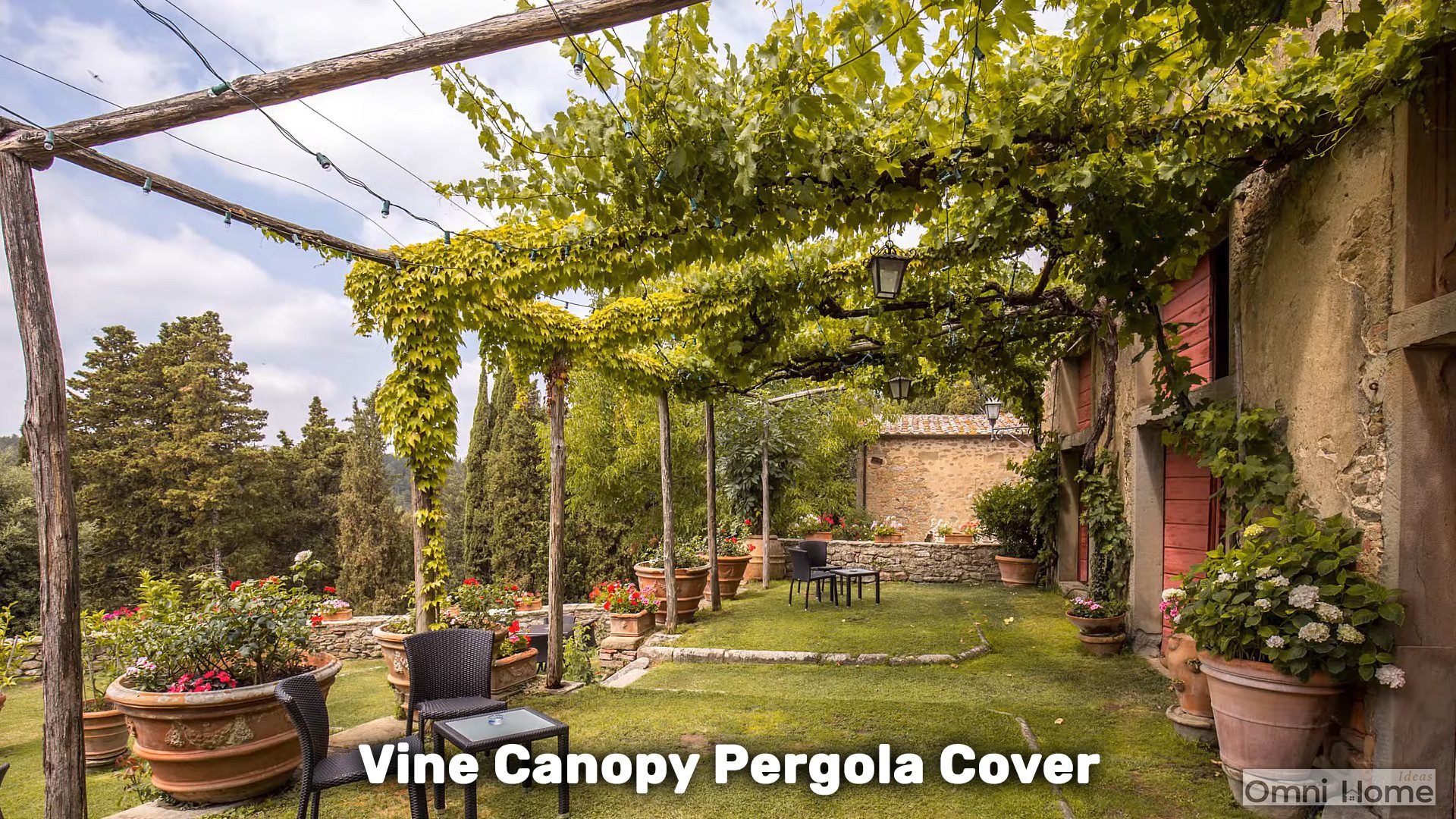 vine canopy pergola cover