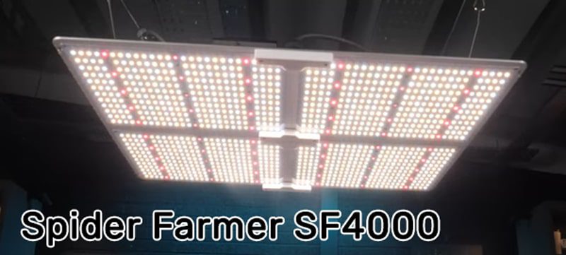 spider farmer sf4000