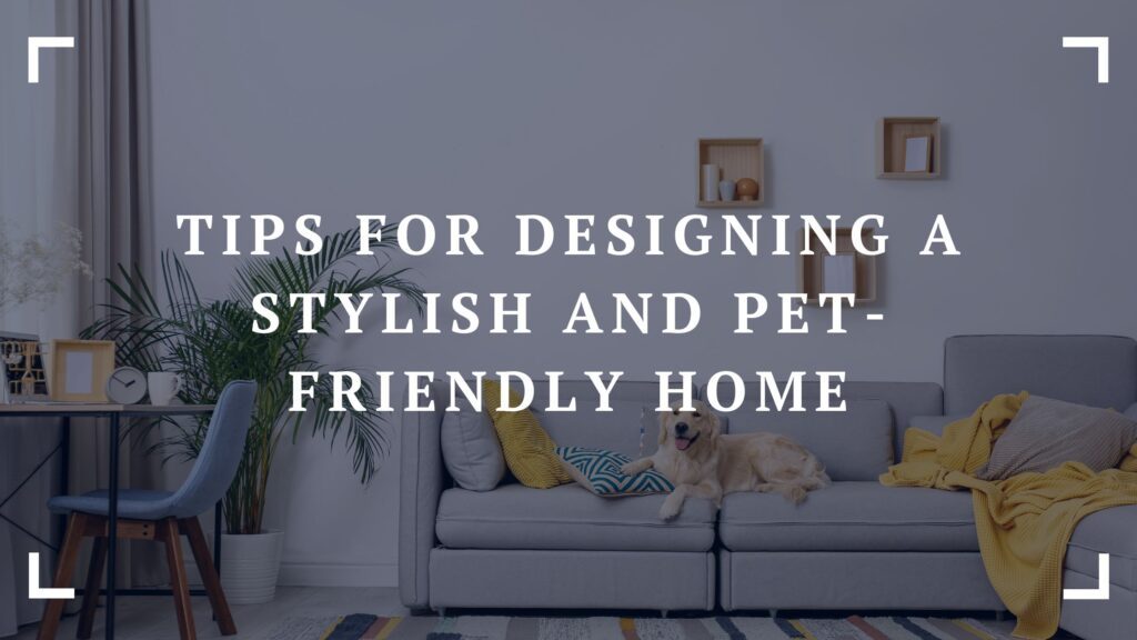 tips for designing a stylish and pet friendly home