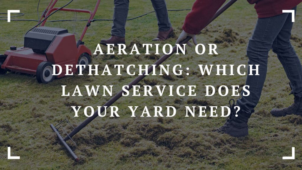 aeration or dethatching which lawn service does your yard need 1