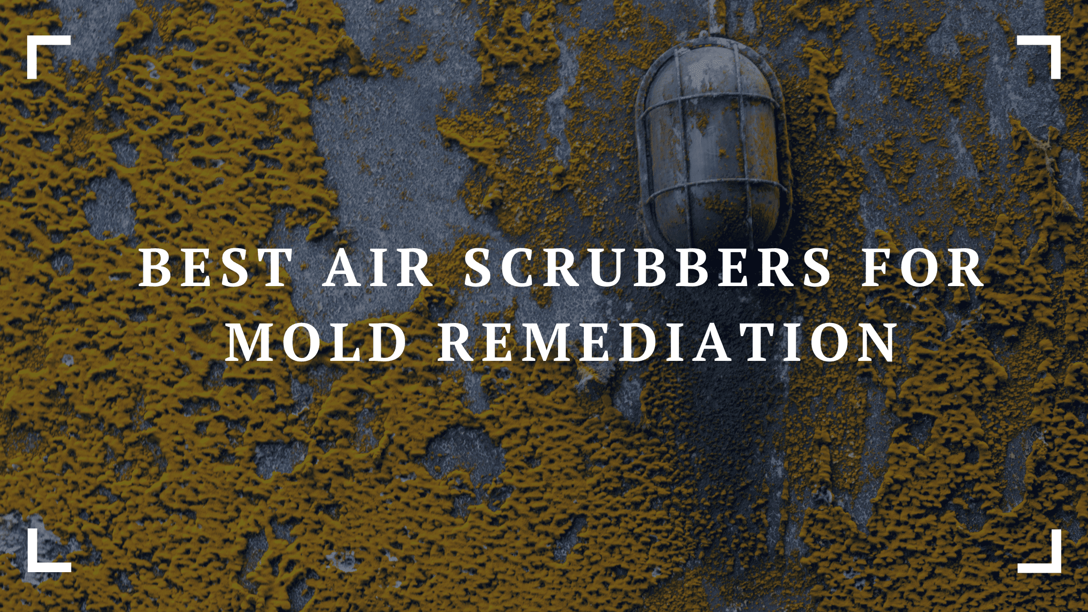 best air scrubbers for mold remediation