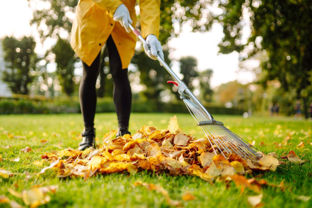 how to prepare your garden for leaf removal