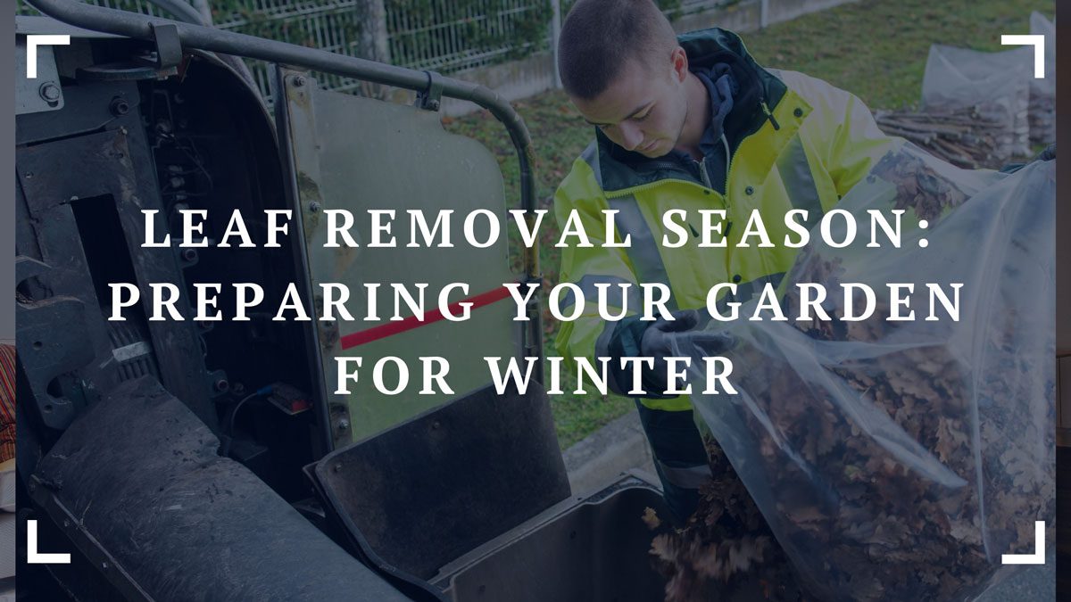 leaf removal season preparing your garden for winter